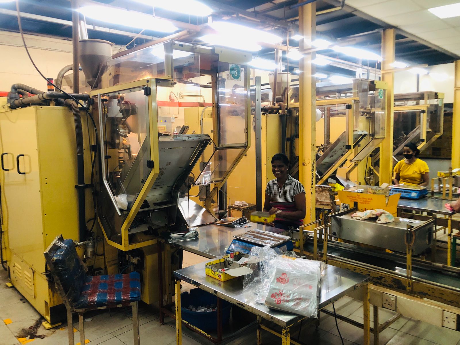 Teepack Perfecta - Image 4