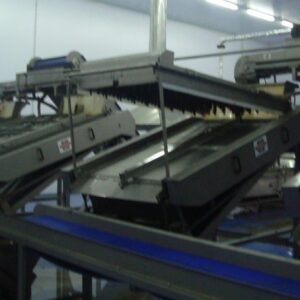 Franken Whole shellfish and Mussels