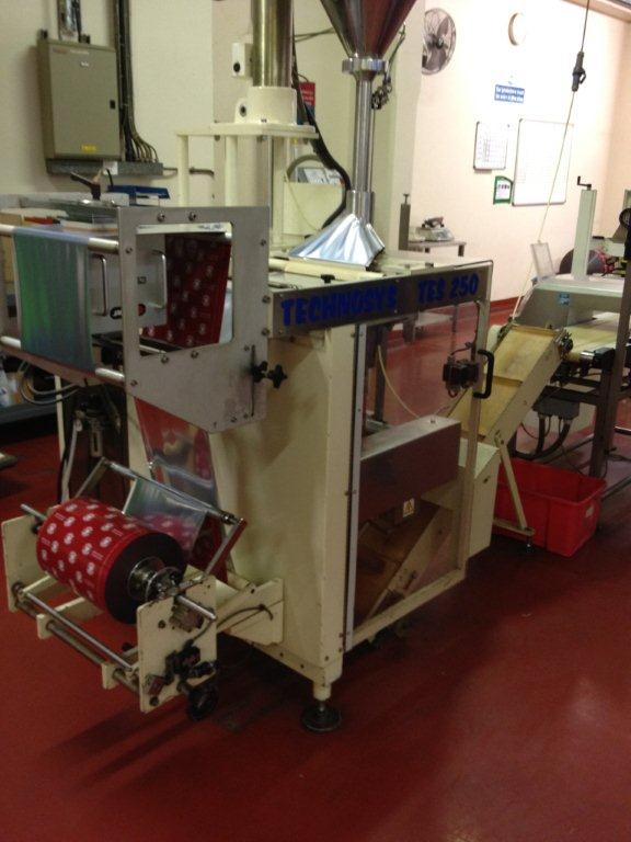 Technosys PES Ltd TES 250